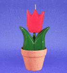 ED006