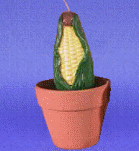 ED009