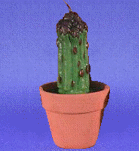 ED010